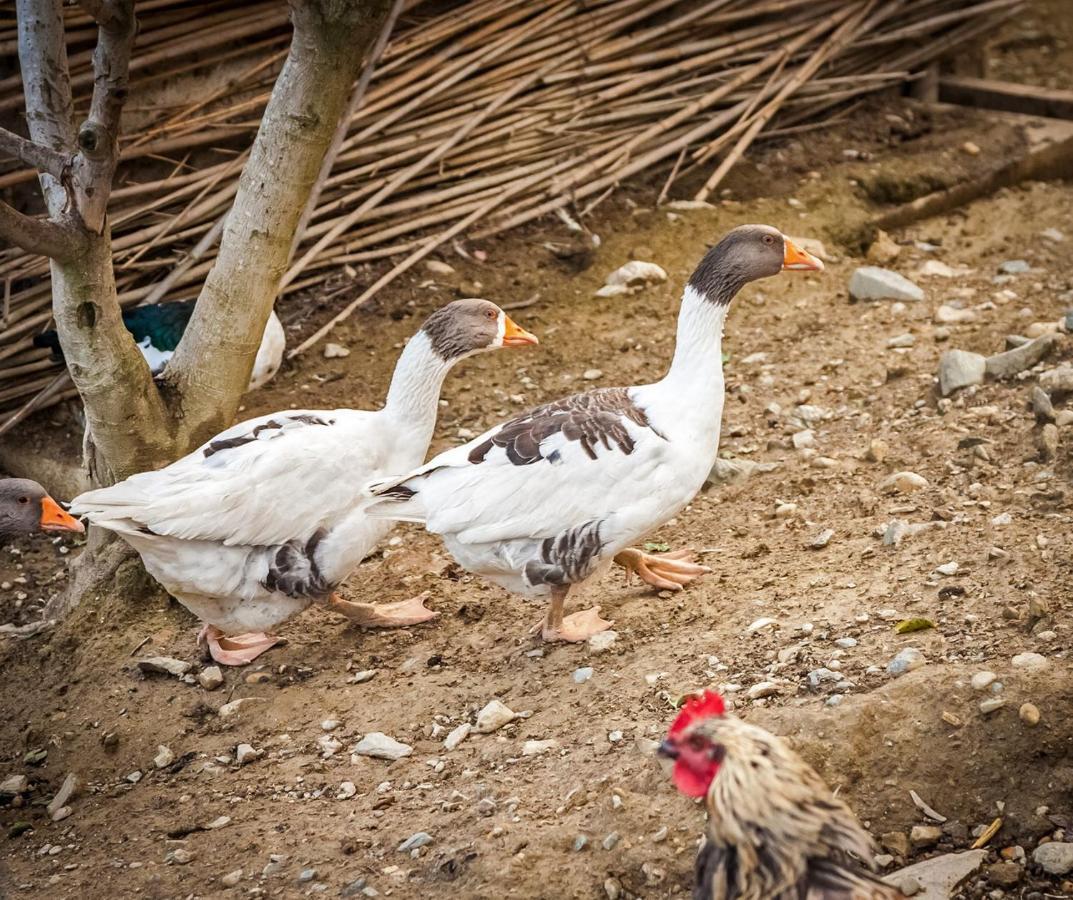 Kamihis Farm House Experience Zaros Bagian luar foto